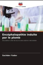 Encéphalopathie induite par le plomb
