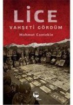 Lice