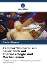 Kammerflimmern: ein neuer Blick auf Pharmakologie und Mechanismen