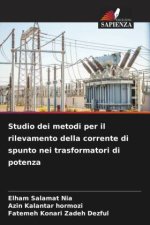 Studio dei metodi per il rilevamento della corrente di spunto nei trasformatori di potenza