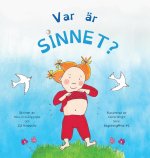 Var ar sinnet?