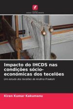 Impacto do IHCDS nas condiç?es sócio-económicas dos tecel?es