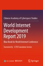 World Internet Development Report 2019