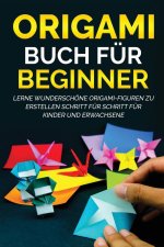Origami Buch fur Beginner