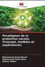 Paradigmes de la protection sociale (Concept, mod?les et expériences)
