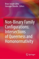 Non-Binary Family Configurations: Intersections of Queerness and Homonormativity