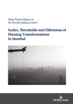 Scales, Thresholds And Dilemmas Of Housing Transformations In Istanbul