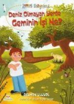 Deniz Olmayan Yerde Geminin Isi Ne