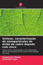 Síntese, caracterizaç?o de nanopartículas de óxido de cobre dopado com zinco