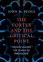 Cortex and the Critical Point