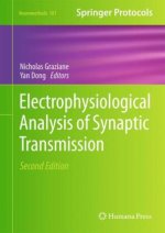 Electrophysiological Analysis of Synaptic Transmission