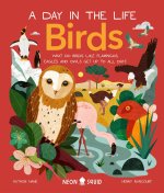 Birds (a Day in the Life): What Do Flamingos, Owls, and Penguins Get Up to All Day?