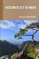 КОСМОСЪТ В МЕН