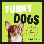 Funny Dogs