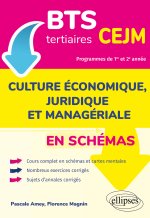 BTS tertiaires - CEJM en schémas
