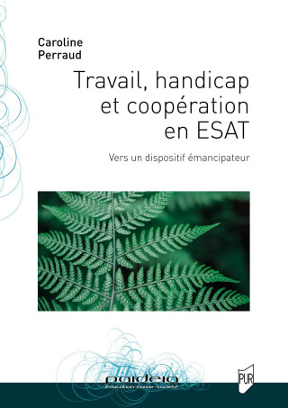 Travail, handicap et coopération en ESAT