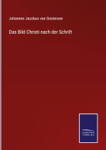 Bild Christi nach der Schrift