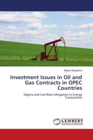 Investment Issues in Oil and Gas Contracts in OPEC Countries