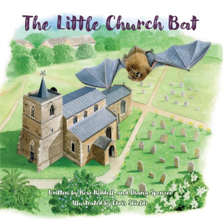 Little Church Bat