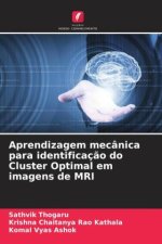Aprendizagem mecânica para identificaç?o do Cluster Optimal em imagens de MRI
