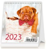 Mini Puppies 2023 - stolní kalendář