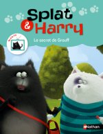 Splat et Harry 7 : Le secret de Grouff