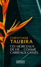 Ces morceaux de vie comme carreaux cassés