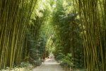 Guide des jardins remarquables en Occitanie