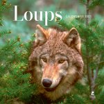 Loups - Calendrier 2023