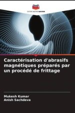 Caractérisation d'abrasifs magnétiques préparés par un procédé de frittage