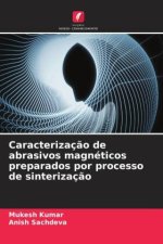Caracterizaç?o de abrasivos magnéticos preparados por processo de sinterizaç?o