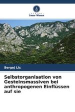 Selbstorganisation von Gesteinsmassiven bei anthropogenen Einflüssen auf sie