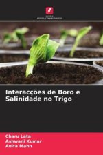 Interacç?es de Boro e Salinidade no Trigo