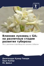 Vliqnie lukowic s GA? na razlichnye stadii razwitiq tuberozy