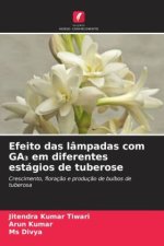 Efeito das lâmpadas com GA3 em diferentes estágios de tuberose