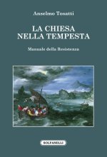 Chiesa nella tempesta. Manuale della resistenza