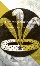 immaginazione