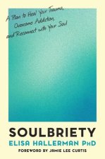 Soulbriety : A Plan to Heal Your Trauma, Overcome Addiction, and Reconnect with Your Soul