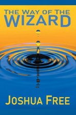 Way of the Wizard