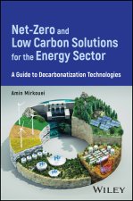 Net-Negative Emission Targets: Essential Solutions for Key Industrial Sectors