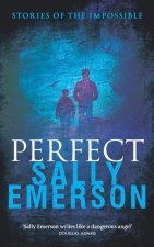 Perfect, Stories of the Impossible