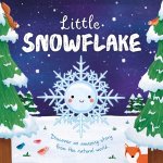 Nature Stories: Little Snowflake: Padded Board Book