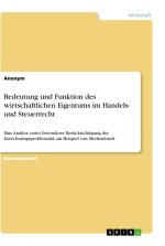Bedeutung und Funktion des wirtschaftlichen Eigentums im Handels- und Steuerrecht