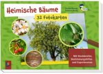 Heimische Bäume ? 32 Fotokarten