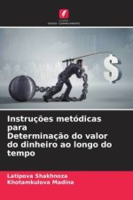 Instruç?es metódicas para Determinaç?o do valor do dinheiro ao longo do tempo