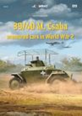 39.M Csaba