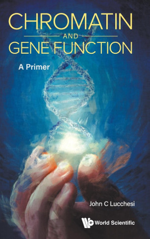 Chromatin and Gene Function: A Primer