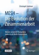 MESH ? Die Evolution der Zusammenarbeit