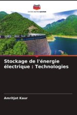 Stockage de l'énergie électrique : Technologies