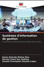 Syst?mes d'information de gestion